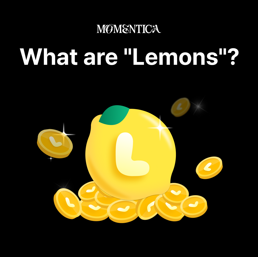 lemon안내문_EN1.png